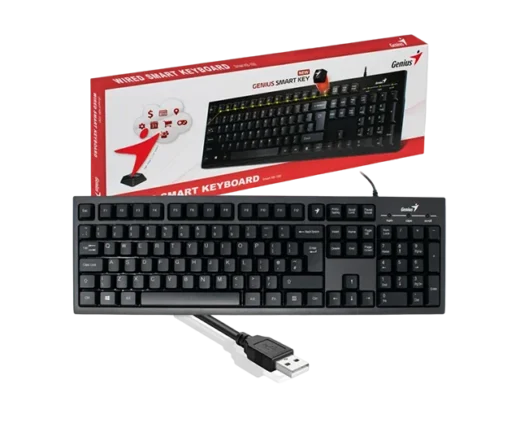 TECLADO GENIUS SMART KB-100