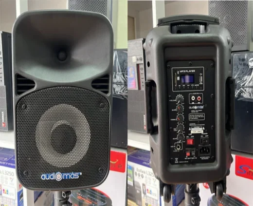 PARLANTE AMPLIFICADO AUDIOMAS